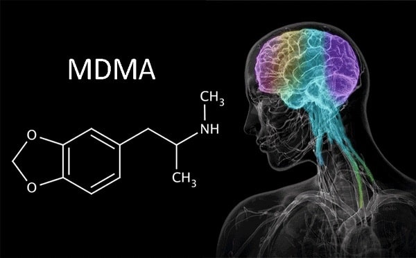 MDMA brain