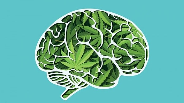 Cannabis_Memory_Restore